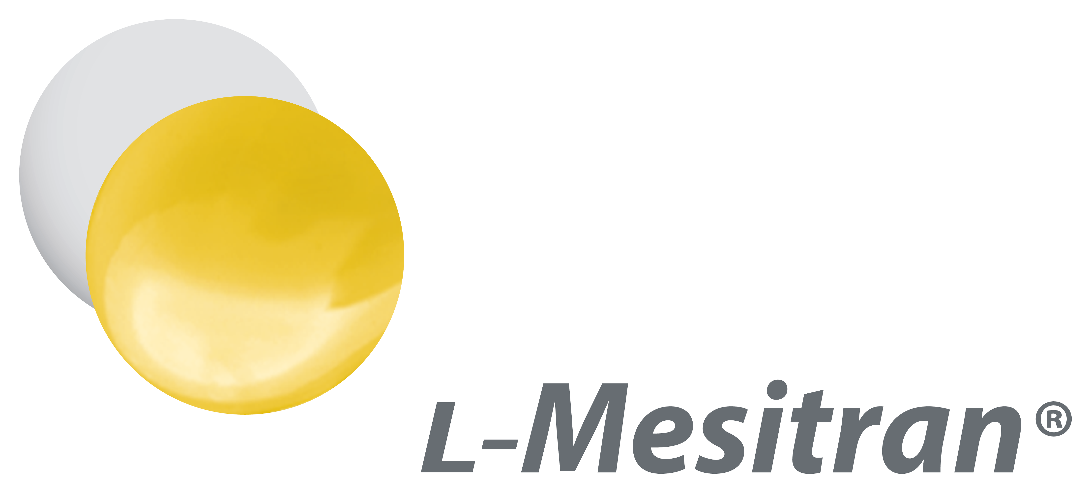 Logo L-Mesitran no bg